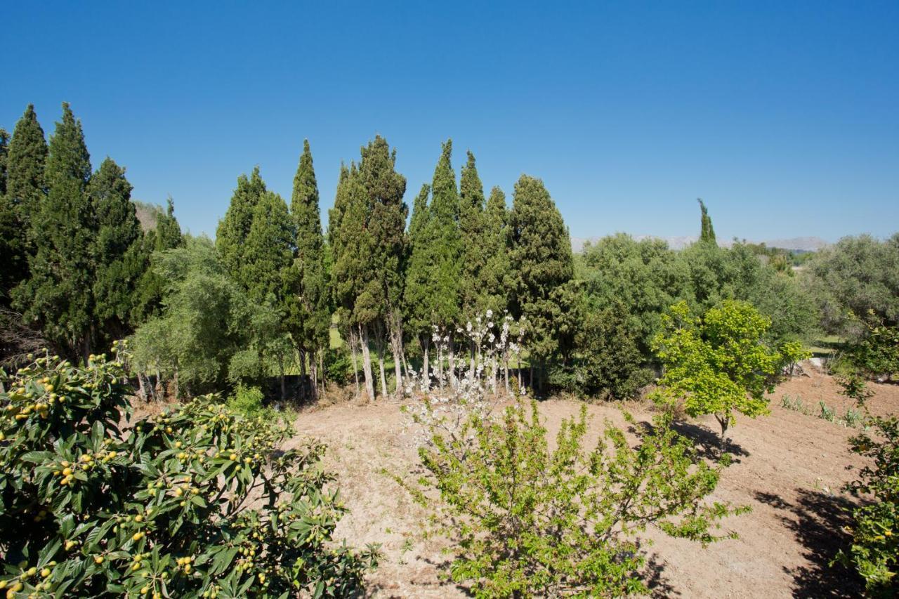 Cifre Villa *